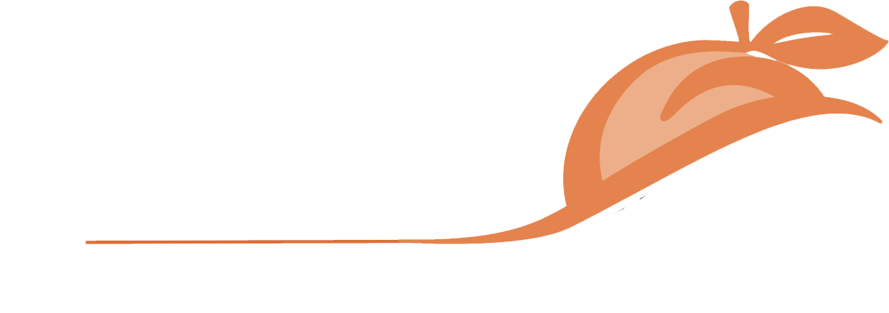 Atlanta Motoring Festival & Concours d' Elegance